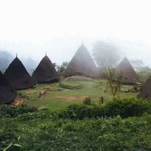 2D1N Wae Rebo Village Tour Package