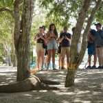 5 Best things to do in Komodo National Park