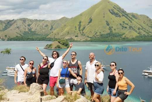 3 Top Komodo Island Boat Tours to Book