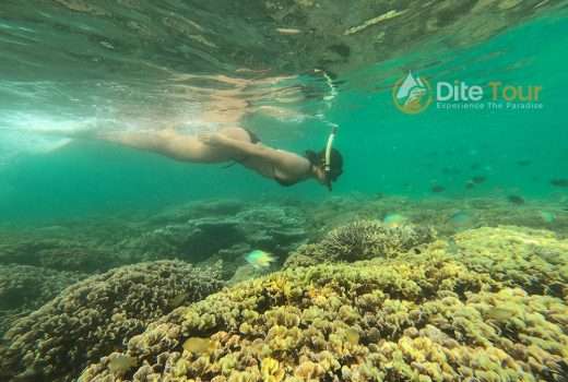 Manjarite Island, Amazing Coral Gardens