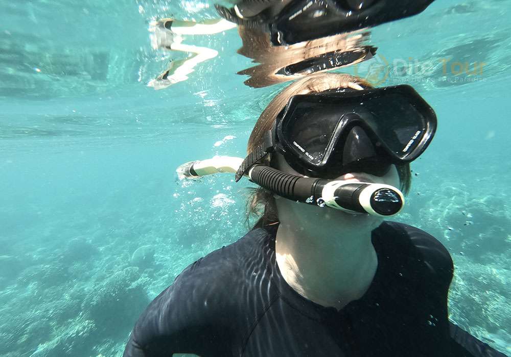 Manta Point Komodo, Snorkeling with Groups of Manta Rays