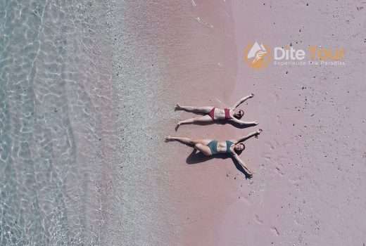 Pink Sand Beach Komodo Island, Indonesia